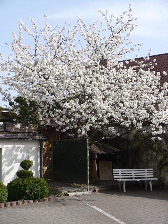 Hotel Am Birkenweg Erlangen Exteriör bild